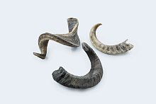 Baffs Naturals Koç Boynuz 100g