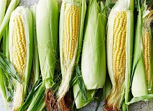Organik Taze Mısır