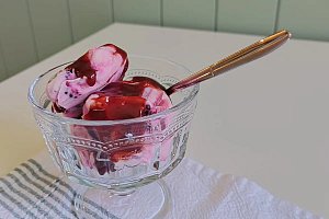 Fit Yoğurt Dondurma (Tek Porsiyon)