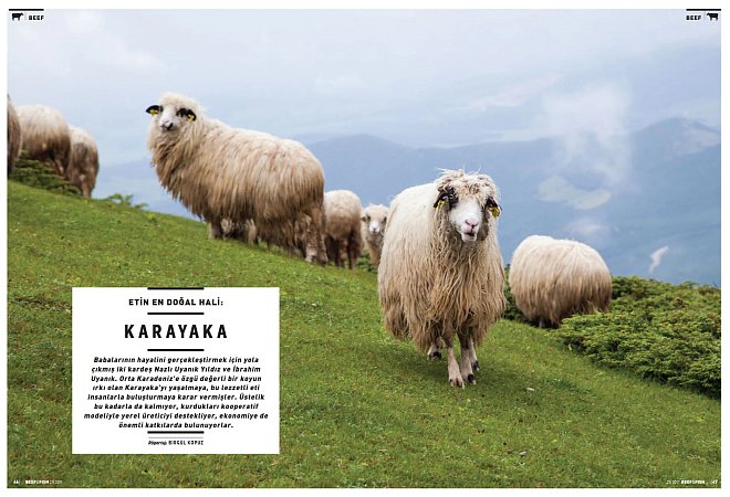 Etin en doğal hali: Karayaka