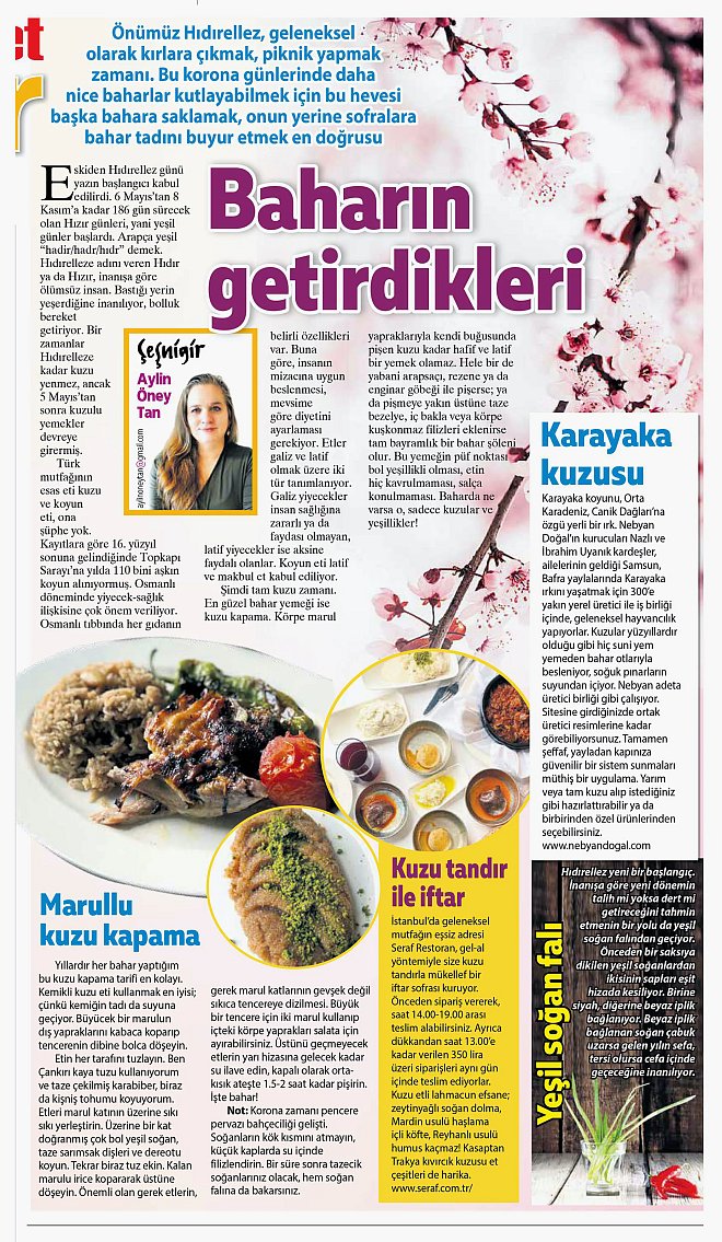 Baharın Getirdikleri